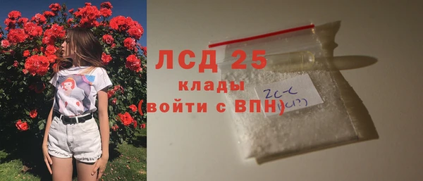 гидра Аркадак