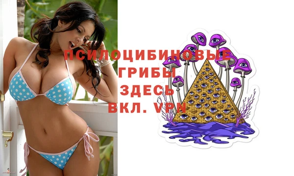 спиды Алзамай