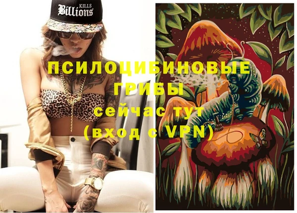 кокс Арсеньев