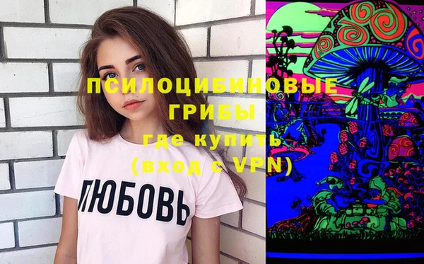 гидра Аркадак