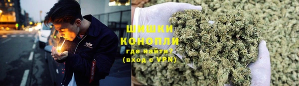 гидра Аркадак