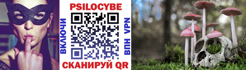 Галлюциногенные грибы Cubensis Шадринск